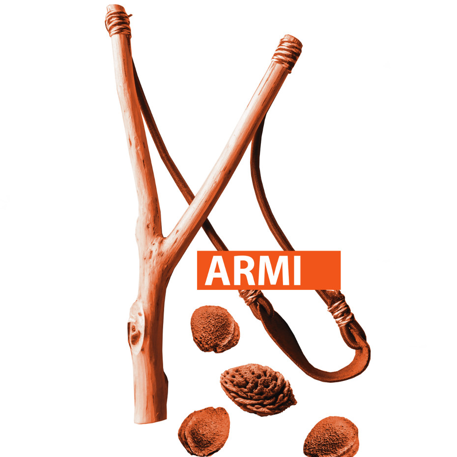 armi_logo.jpg